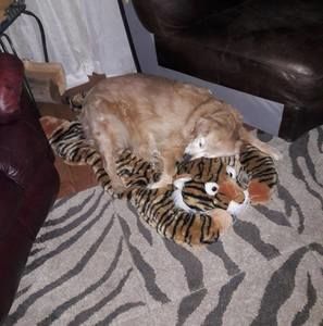 Meet your Posher, Christopher